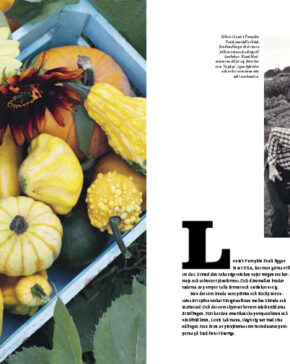 Tradgardsliv Nr 4, 2013