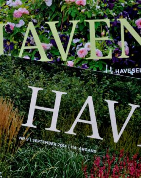Haven