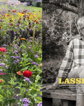 Lasse Kratz på Wij