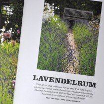 Lavendel i Trädgårdsliv 024-s II