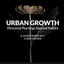 Urban growth ny