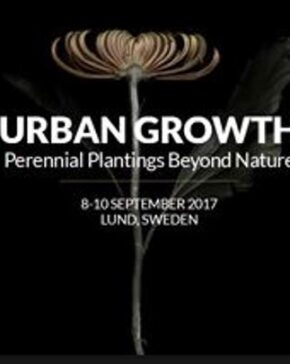 Urban growth ny