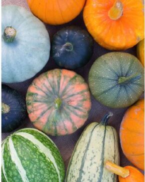 Pumpor